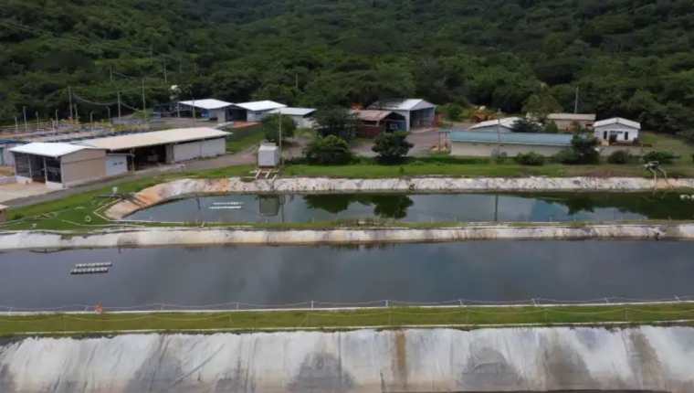 Vista de las instalaciones del proyecto minero Cerro Blanco en AsunciÃ³n Mita, Jutiapa. (Foto Prensa Libre: AFP)