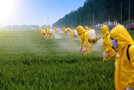 Pesticidas y párkinson una conexión fuera de toda duda