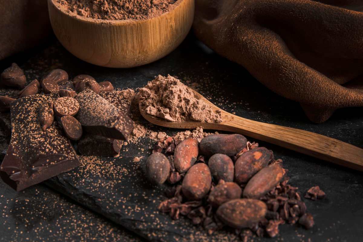 El cacao desempeñó un papel central en la cultura y sociedad de los Mayas y de los antiguos pueblos de Mesoamérica.