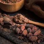 El cacao desempeñó un papel central en la cultura y sociedad de los Mayas y de los antiguos pueblos de Mesoamérica.
