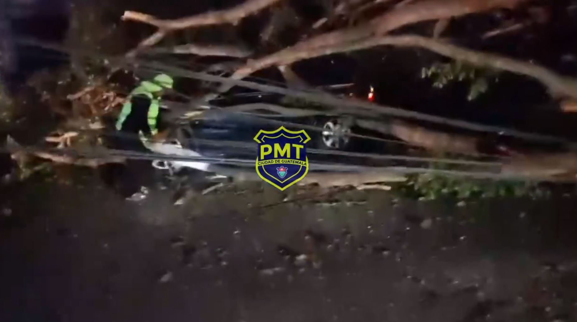 Árbol de gran tamaño cayó sobre dos vehículos que circulaban en la avenida Bolívar y 22 calle de la zona 1 de la Ciudad de Guatemala. (Foto Prensa Libre: Captura de video Amilcar Montejo)