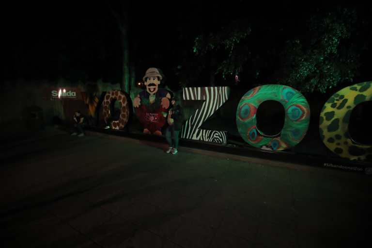 Zoológico la Aurora invita a vivir el año nuevo entre animales en la primera Noche de Luna de 2