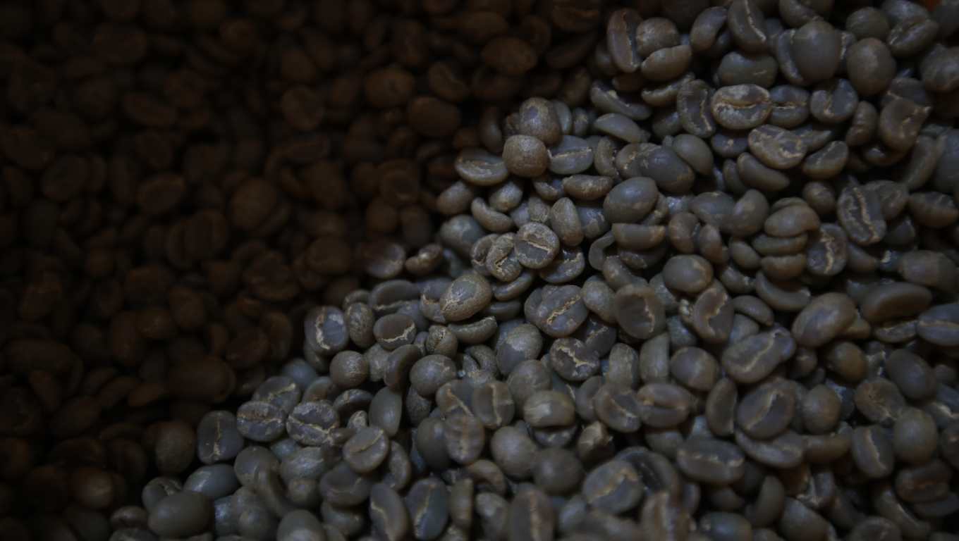 La semilla de café esconde un cúmulo de experiencias sabores y aromas que serán descubiertas después de sus principales métodos de procesamiento. (Foto Prensa Libre: Carlos Hernández) 
