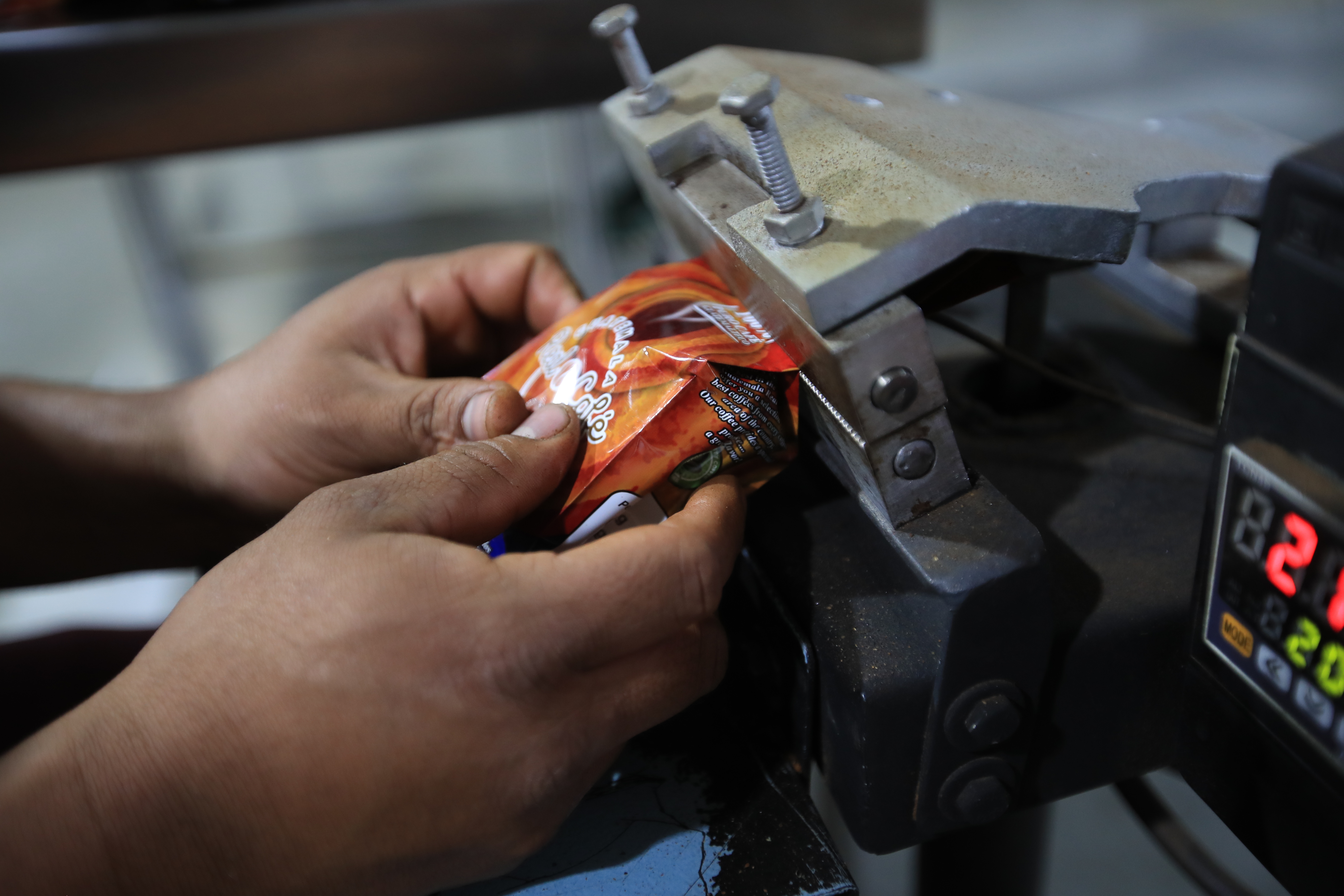 Empresas exportadoras emplean empaque de café para su distribución. (Foto Prensa Libre: Carlos Hernández) 