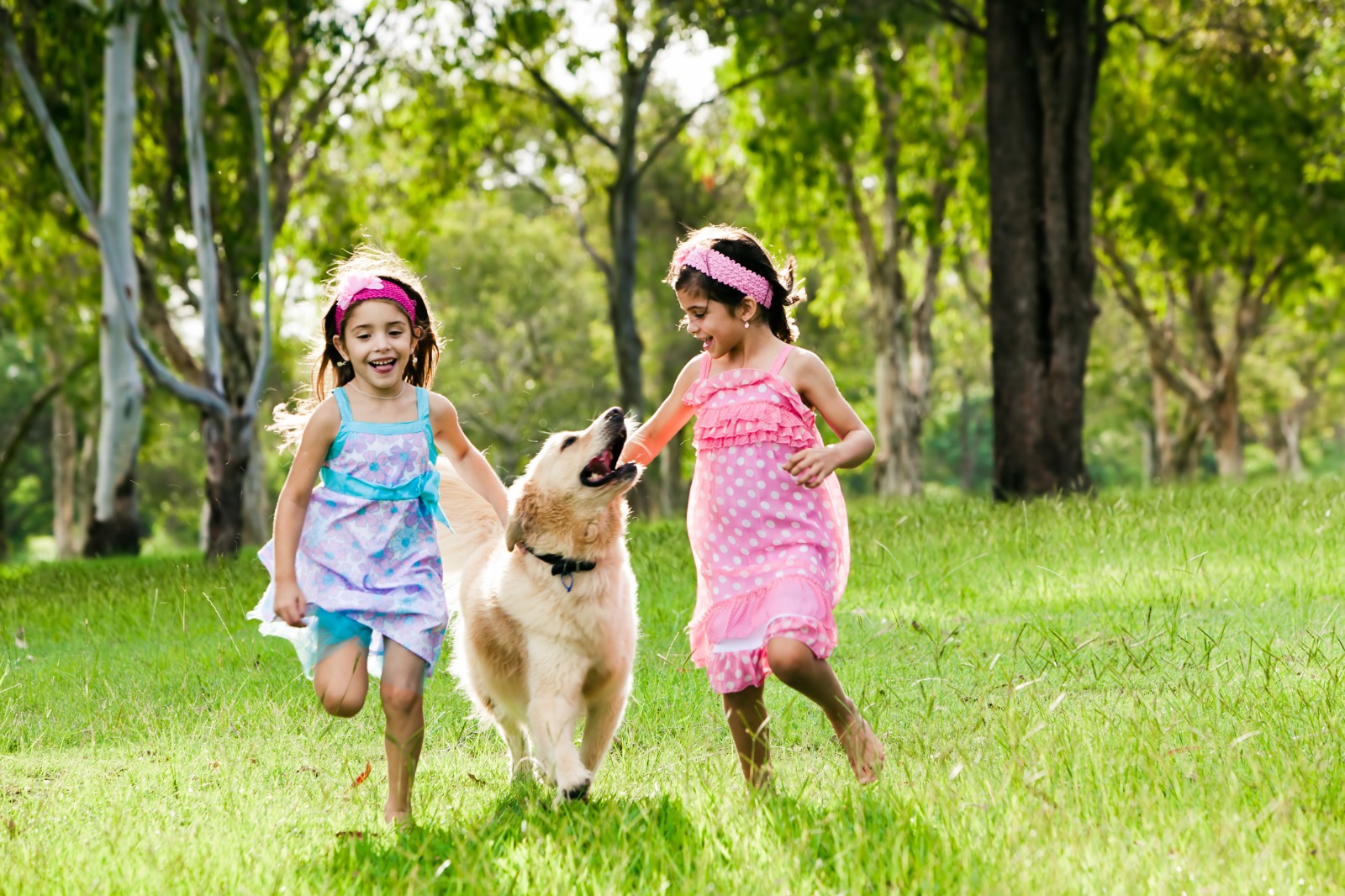 Cómo educar a los niños para una convivencia sana con animales