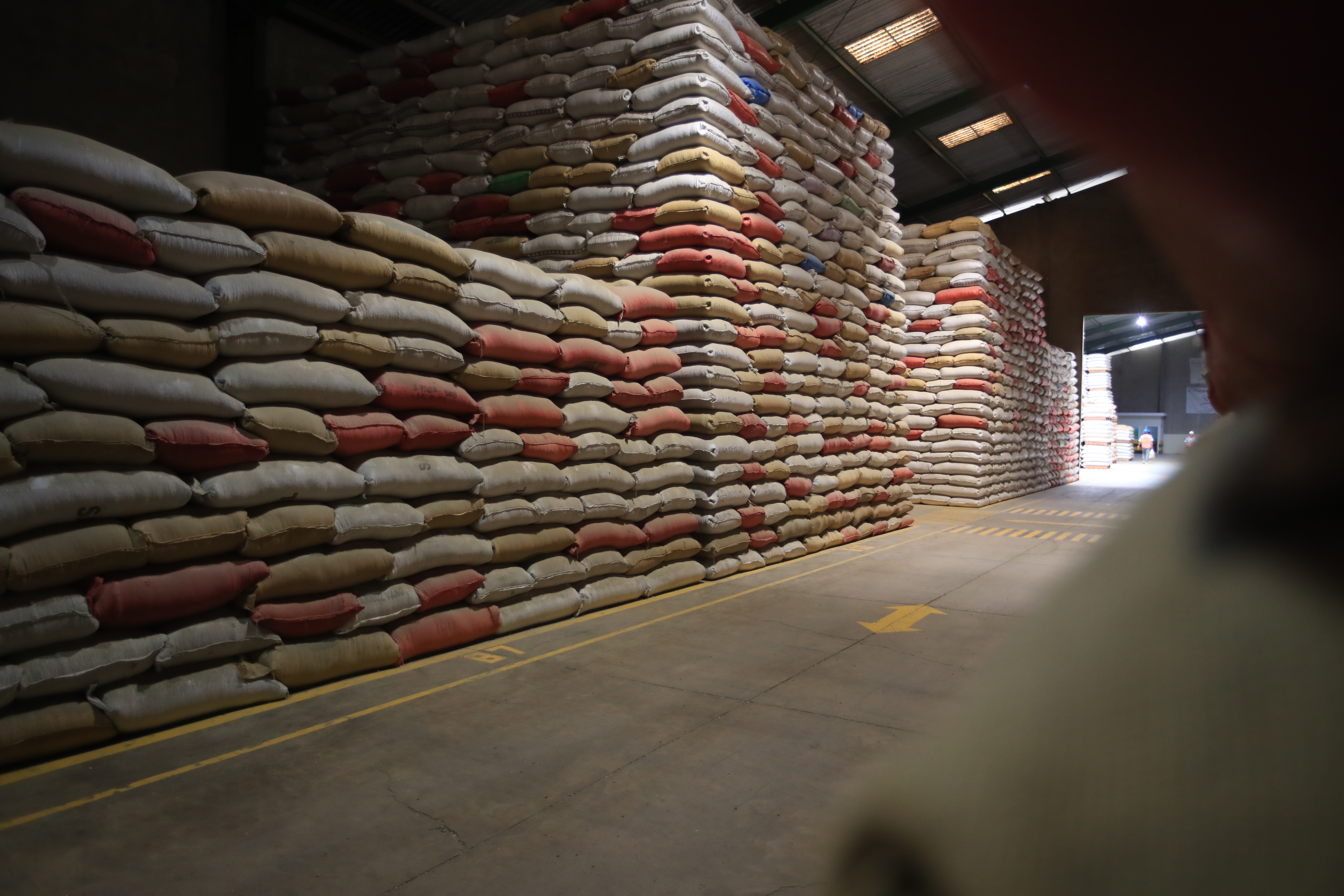 Cientos de sacos de café guatemalteco son exportados al año en todo el mundo. (Foto Prensa Libre: Carlos Hernández) 