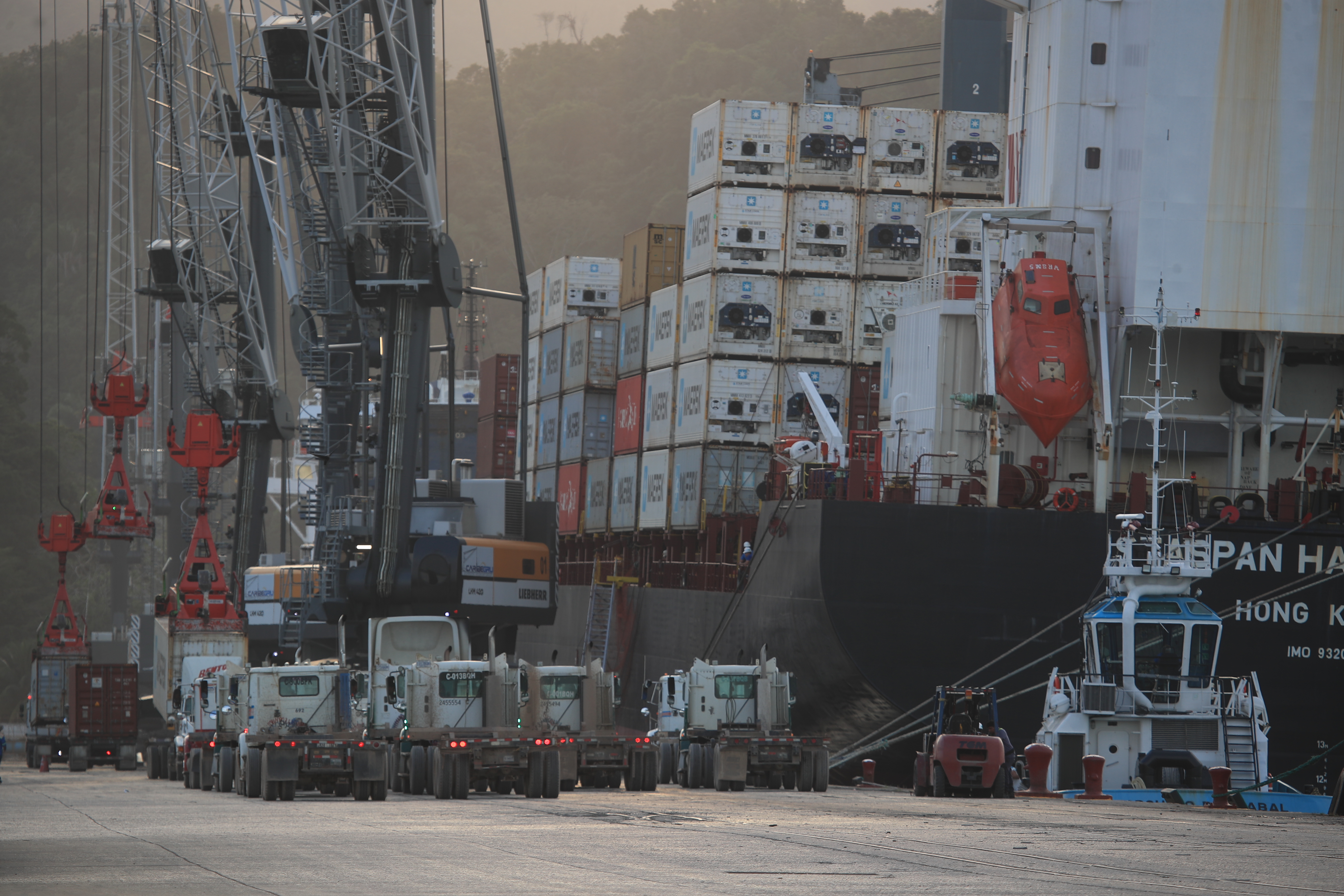 Los productos perecederos o de alimentos resultan muy afectados por retrasos de trámites en los muelles. (Foto Prensa Libre: Carlos Hernández)