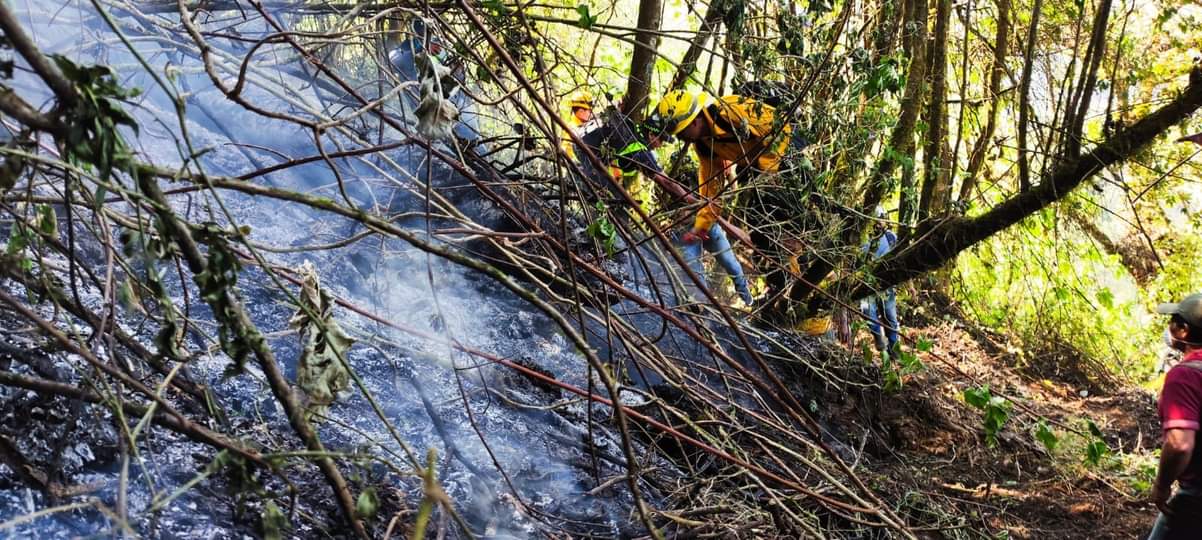 La Brigada de Respuesta a Incendios Forestales realiza acciones de supresión en el incendio forestal del Volcán de Agua. (Foto Prensa Libre: Conred)