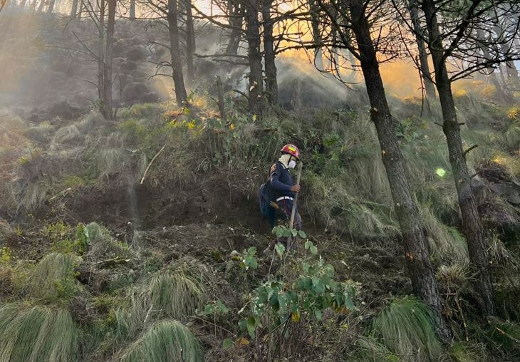 En el incendio del volcán de Agua se han consumido bosque que resguarda biodiversidad de flora y fauna. (Foto Prensa Libre: Cortesía Marielos Balam)