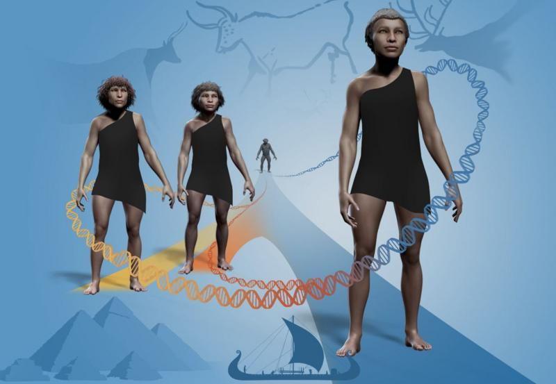 Una ilustración del estudio del genóma humano y sus ancentros