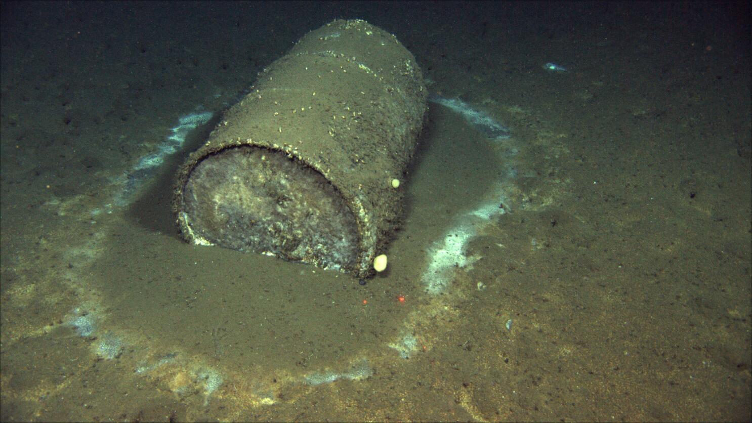 Los científicos calculan que podría haber hasta medio millón de barriles como este en el lecho marino frente a las costas del sur de California.

David Valentine / ROV Jason