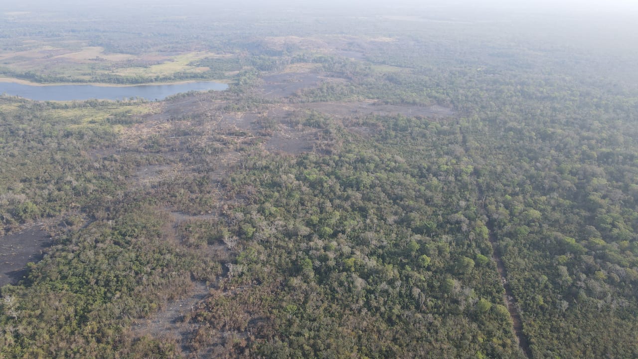 Invasiones amenazan grandes extensiones de la Reserva de la Biosfera Maya