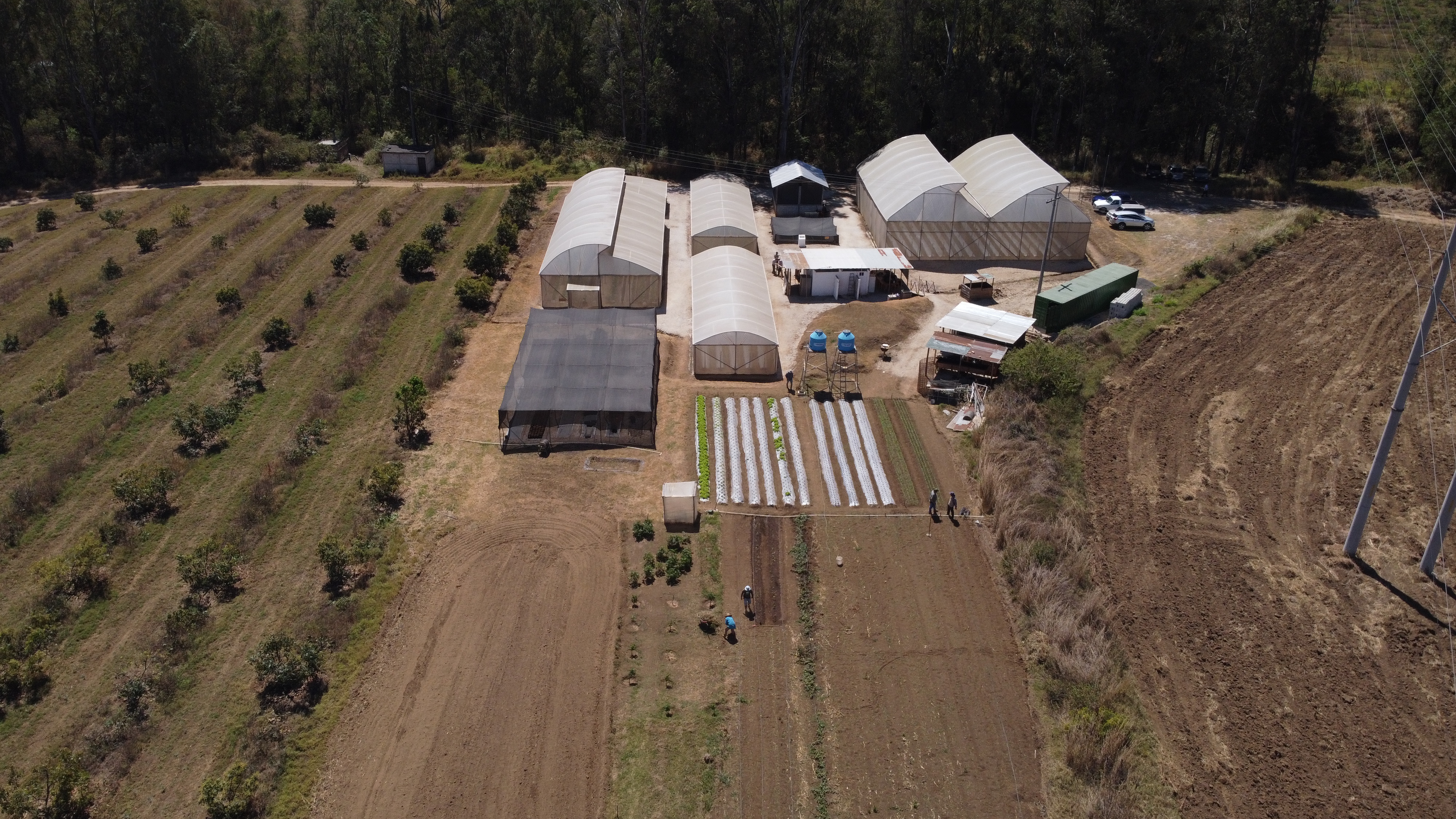 Aplican técnicas de riego y poscosecha de Israel en primeros centros agrícolas en Guatemala