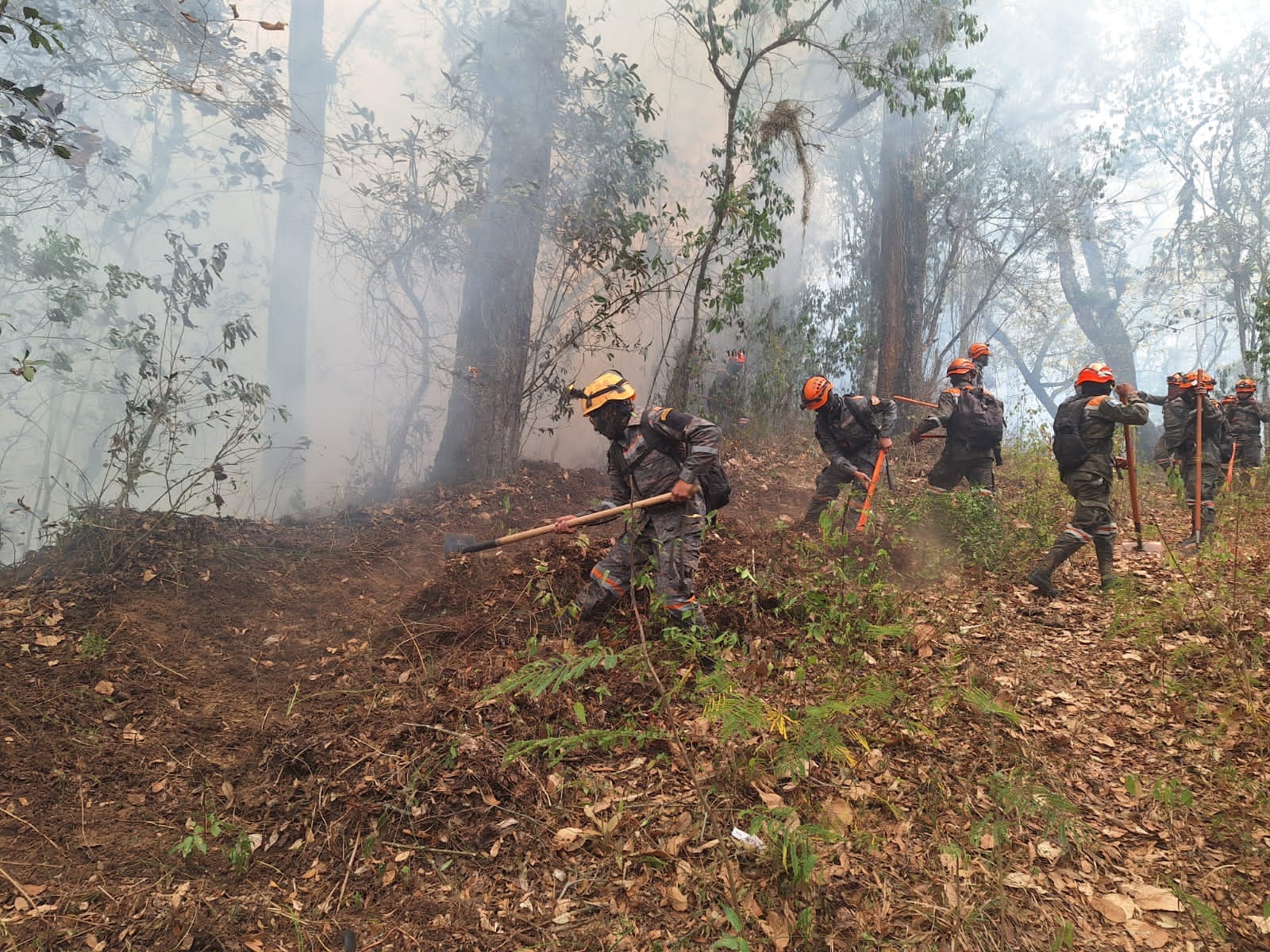 Conred presenta plataforma de alerta temprana contra Incendios Forestales