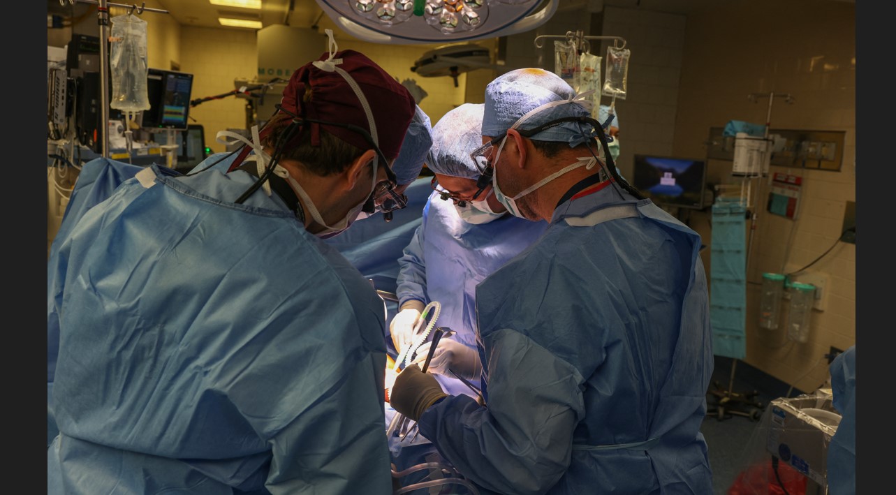 En una fotografía facilitada por el Hospital General de Massachusetts, unos cirujanos realizan el primer trasplante del mundo con un riñón de cerdo modificado genéticamente a un ser humano vivo en el Hospital General de Massachusetts en Boston, el 16 de marzo de 2024. (Hospital General de Massachusetts vía The New York Times)