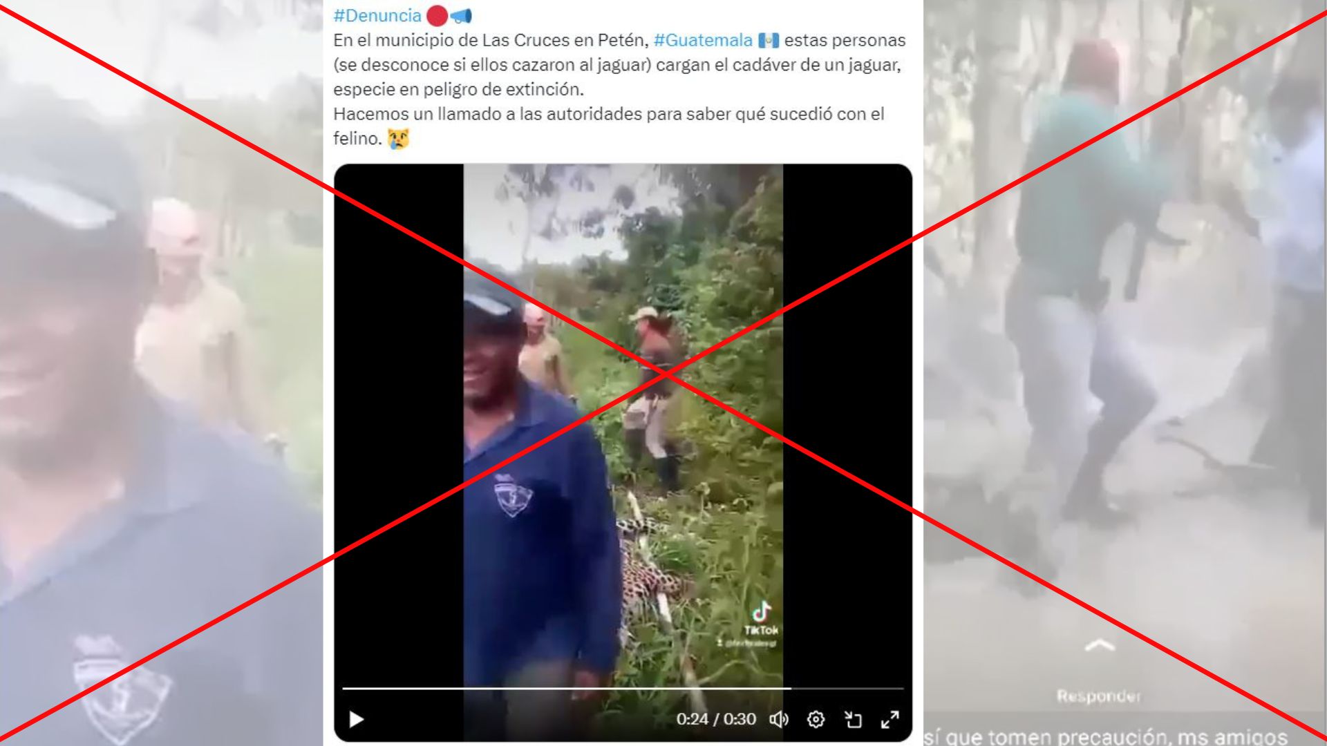 ¿Es cierto que cazaron a un jaguar y una pantera en Petén como dicen videos en redes sociales?