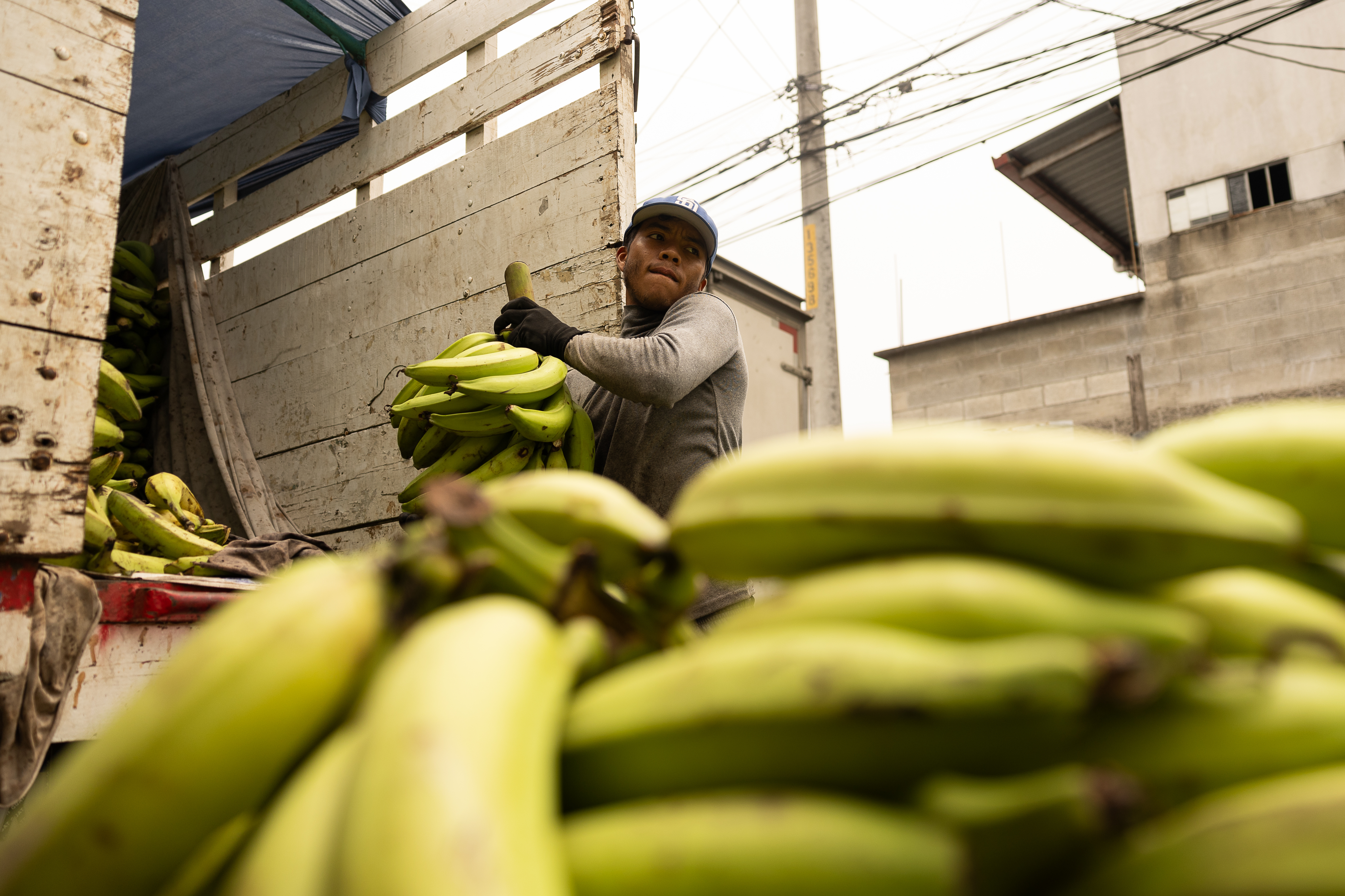 El pago del aguinaldo en Guatemala es obligatorio para los trabajadores del sector formal y debe respaldarse con una constancia firmada, según el Ministerio de Trabajo. (Foto, Prensa Libre: EFE)
