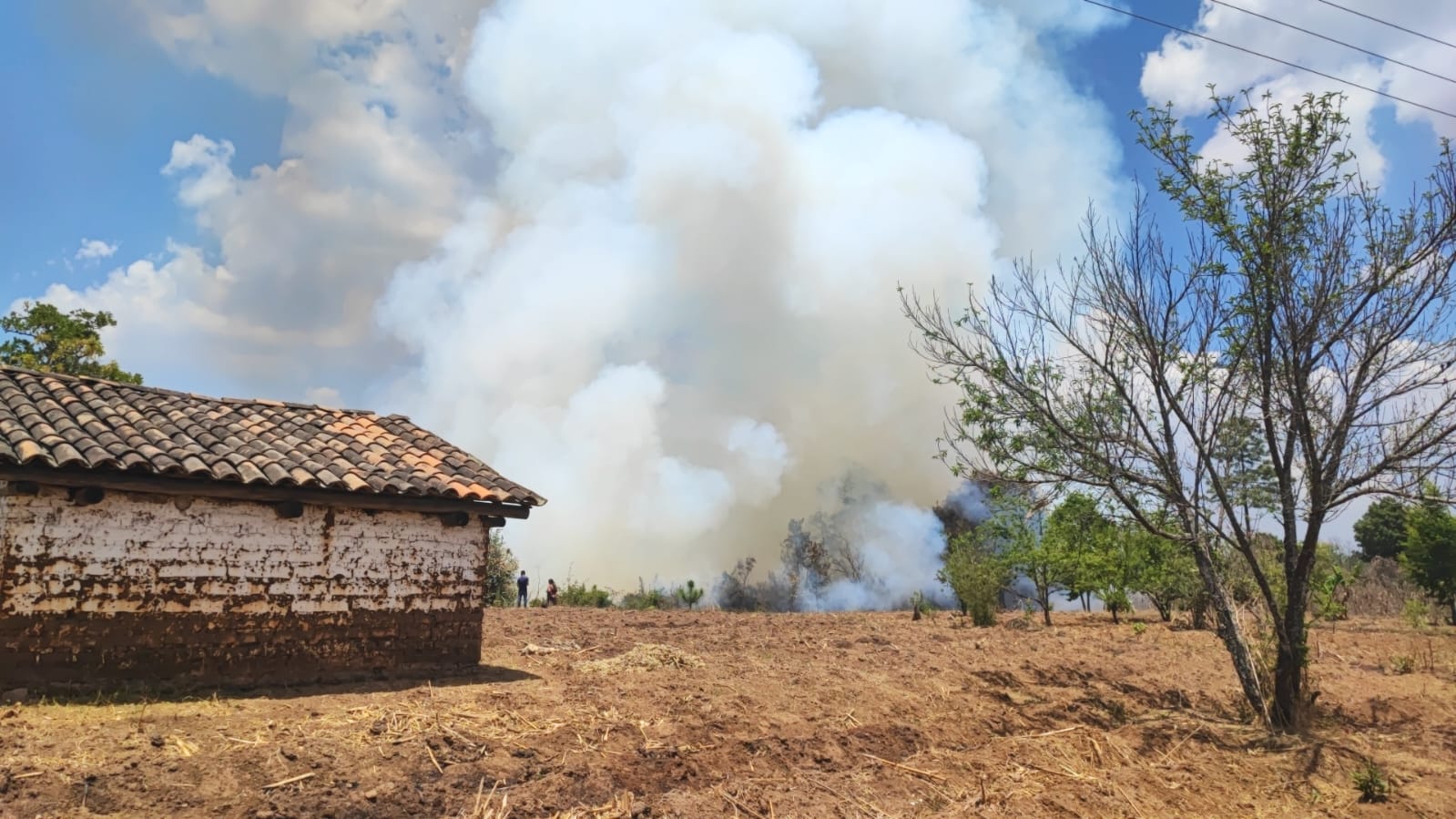 Cuál es el alcance del estado de Calamidad decretado por los incendios forestales