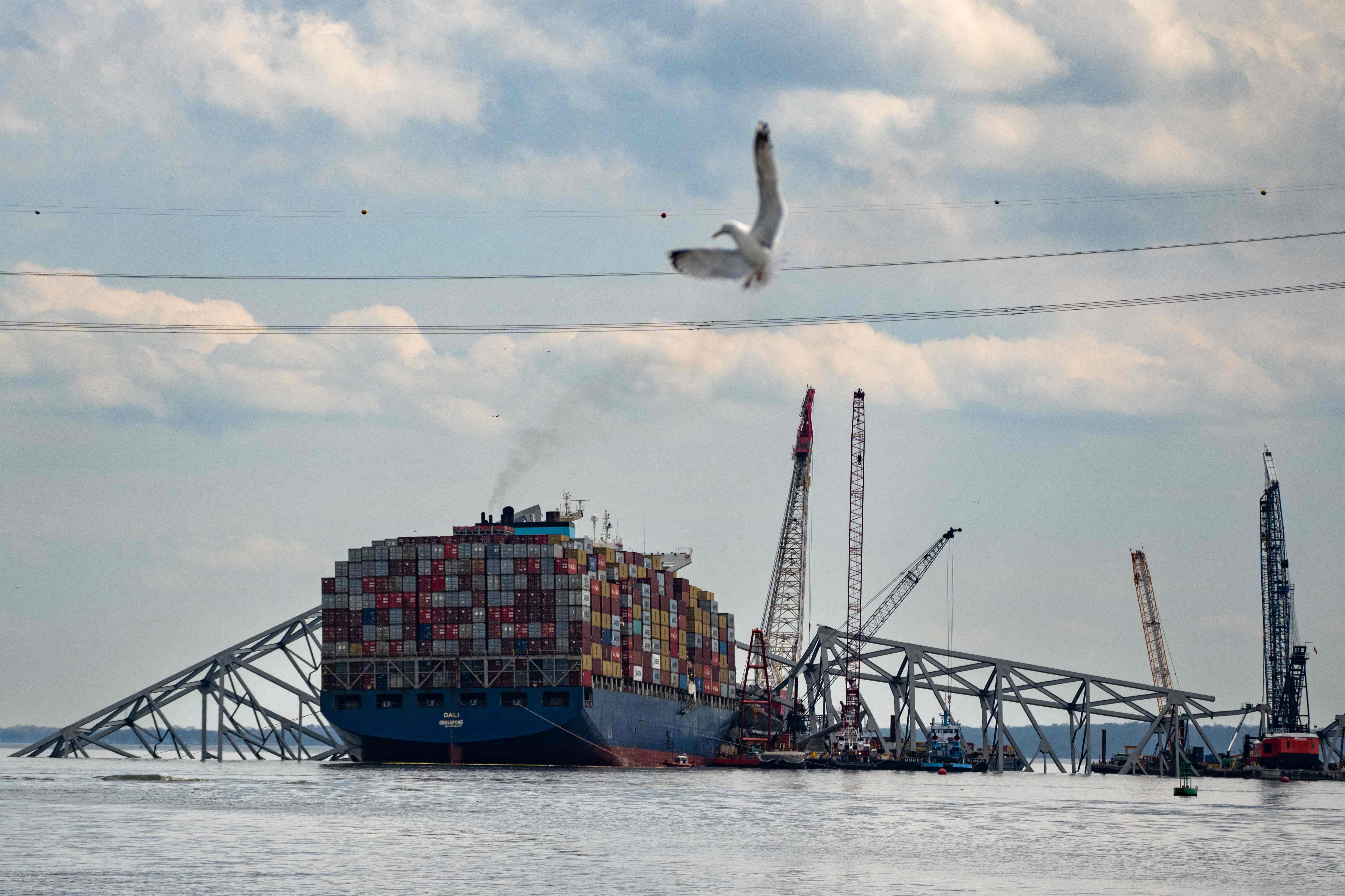 Continúan los trabajos para retirar escombros del principal puente de Baltimore, en Maryland, EE. UU., que cayeron al río luego de que la estructura fuera impactada por un barco carguero. (Foto Prensa Libre: AFP) 