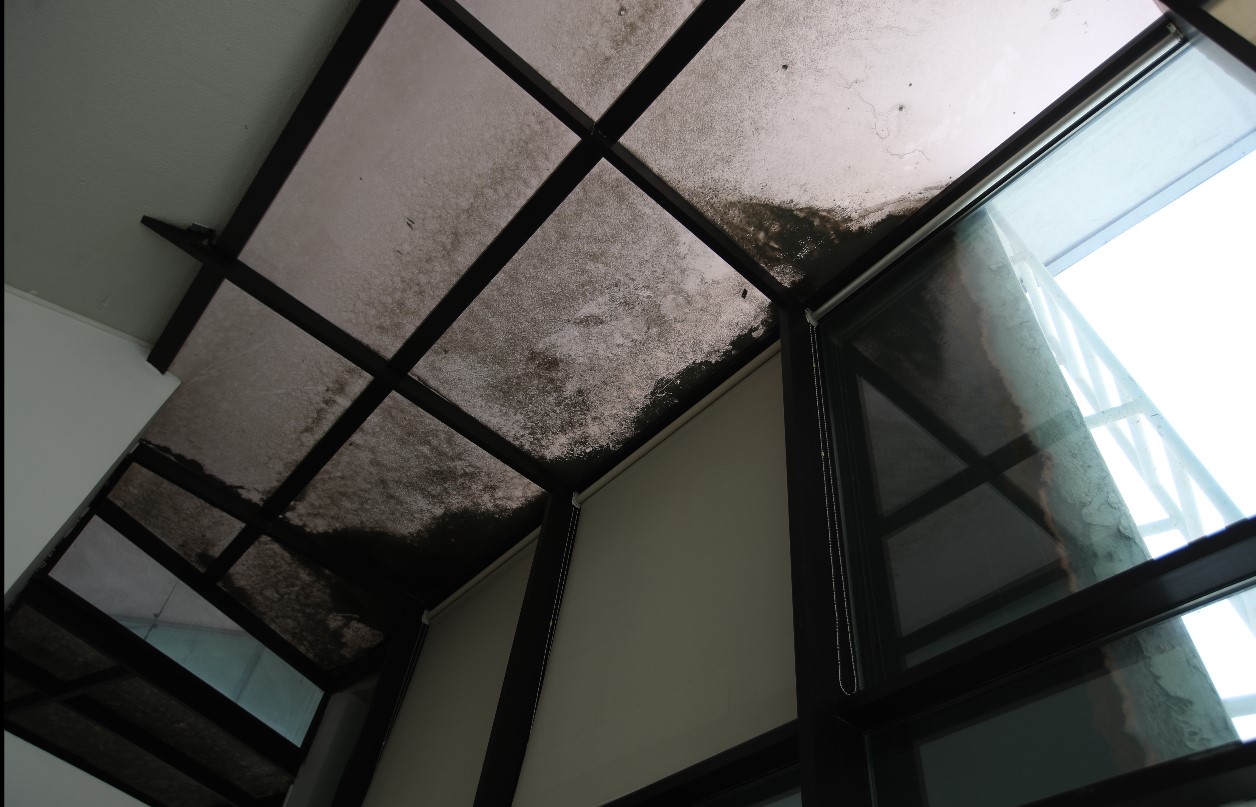 Techo del AILA en el área de la terraza. (Foto Prensa Libre: Carlos Hernández Ovalle) 