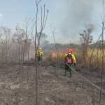 Guatemala declara estado de Calamidad por los incendios forestales. (Foto Prensa Libre: Conred)