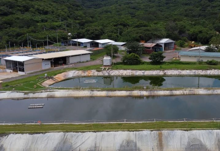 El viceministro de ambiente dijo este jueves que el actual gobierno busca anular la licencia ambiental de la mina Cerro Blanco, debido a "presuntas anomalías" en su aprobación. (Foto Prensa Libre: AFP)
