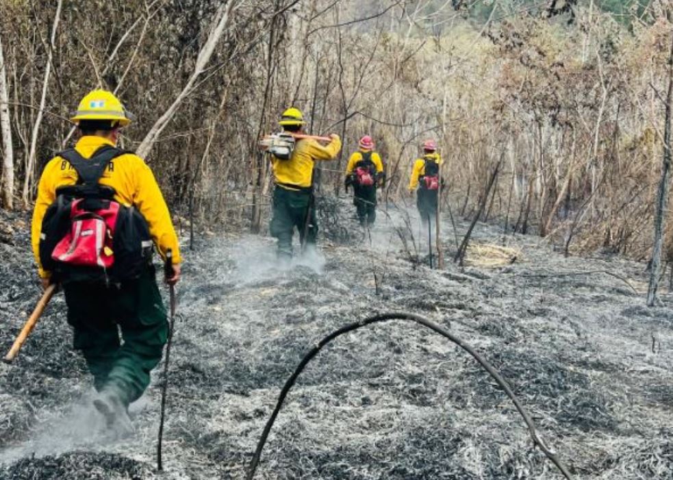 Bernardo Arévalo señala que incendios son provocados para “dañar al gobierno”