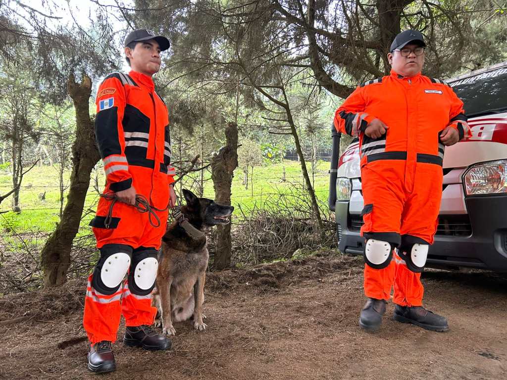 Perros especializados en búsqueda y rescate colabora en la operación este martes 23 de abril. 