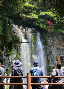 Seogwipo (Korea, Republic Of), 06/05/2024.- Visitors observe a waterfall in Seogwipo on the southern resort island of Jeju, South Korea, 06 May 2024, after heavy rainfall around Mount Halla on the island over the past two days. (Corea del Sur) EFE/EPA/YONHAP SOUTH KOREA OUT