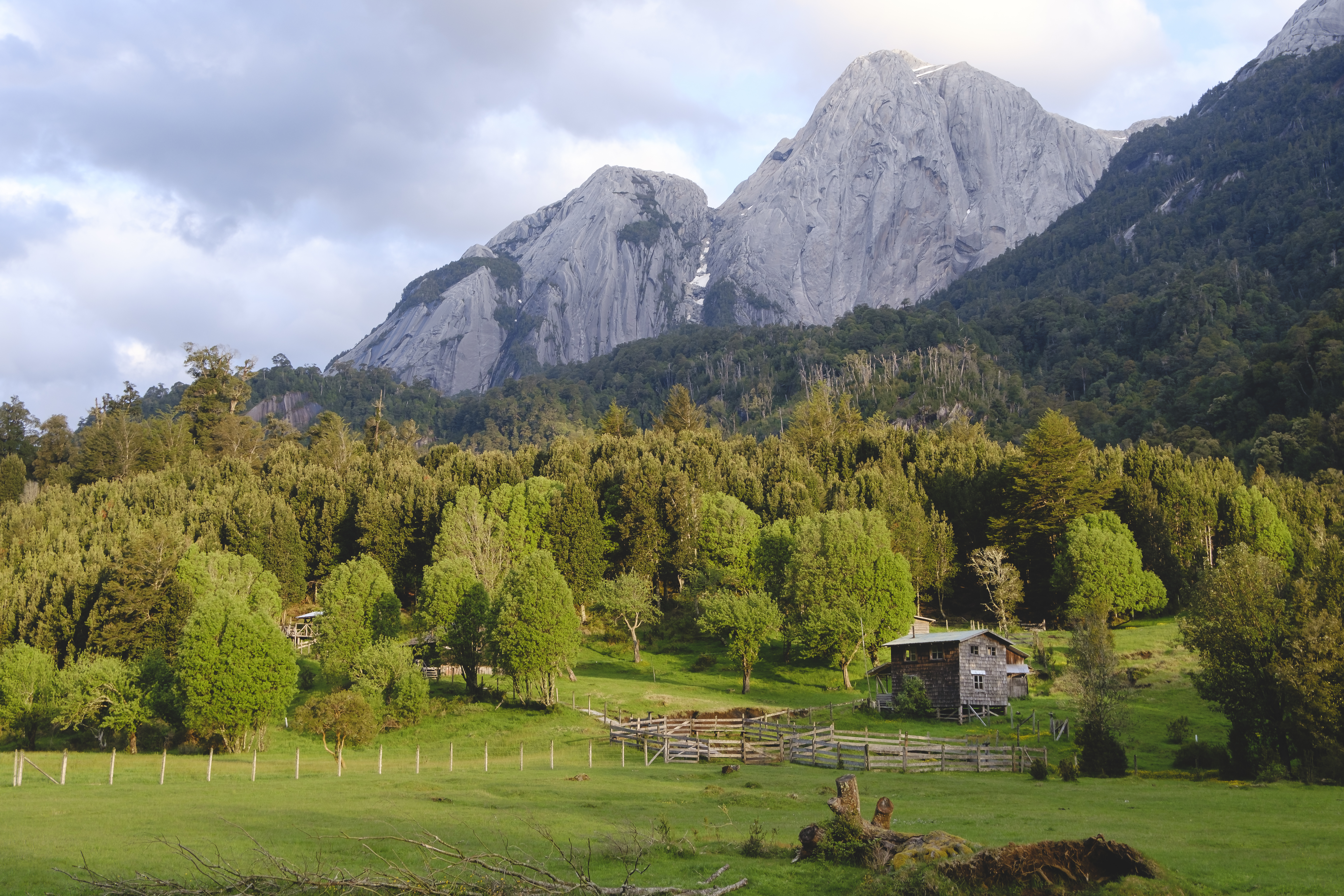 Cinco países concentran el 54% de los bosques del planeta, pero la deforestación los empuja a un punto crítico