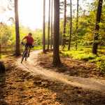Cuáles son los beneficios del ciclismo en el cuerpo, las emociones y la contemplación