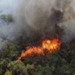 Incendios forestales Petén