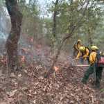 Los incendios forestales afectan gran parte del territorio de Petén. (Foto Prensa Libre: Conred)