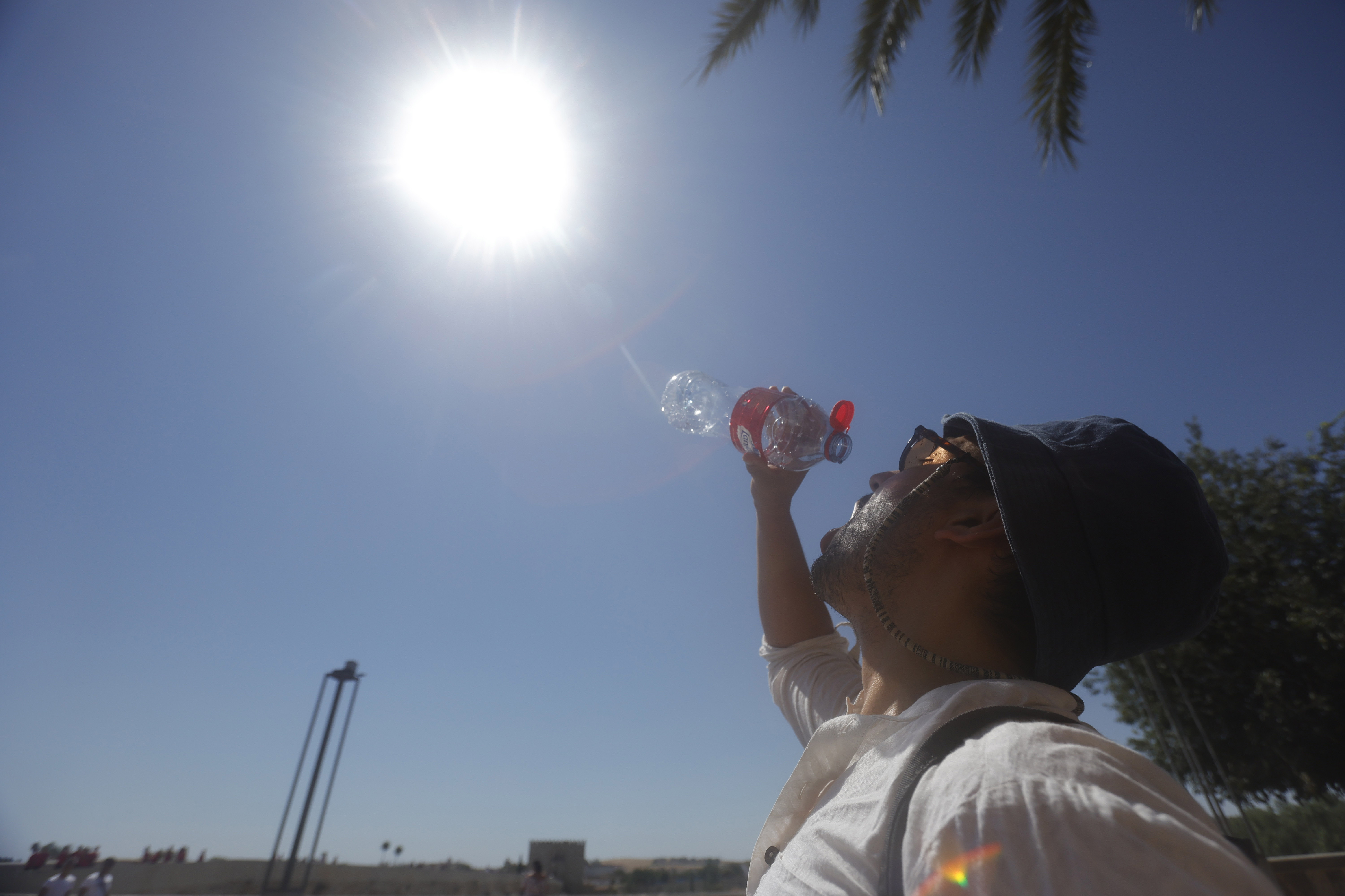 El día más caluroso en la Tierra fue el 22 de julio de 2024, según la OMM
