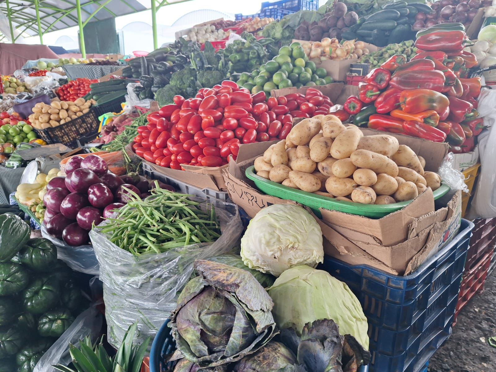 Comerciantes dicen que precios de tomate, cebolla, cilantro y otros aumentaron por las lluvias