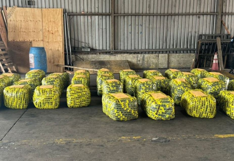 Autoridades incautan más de 2 mil kilogramos de droga en contenedor procedente de Colombia