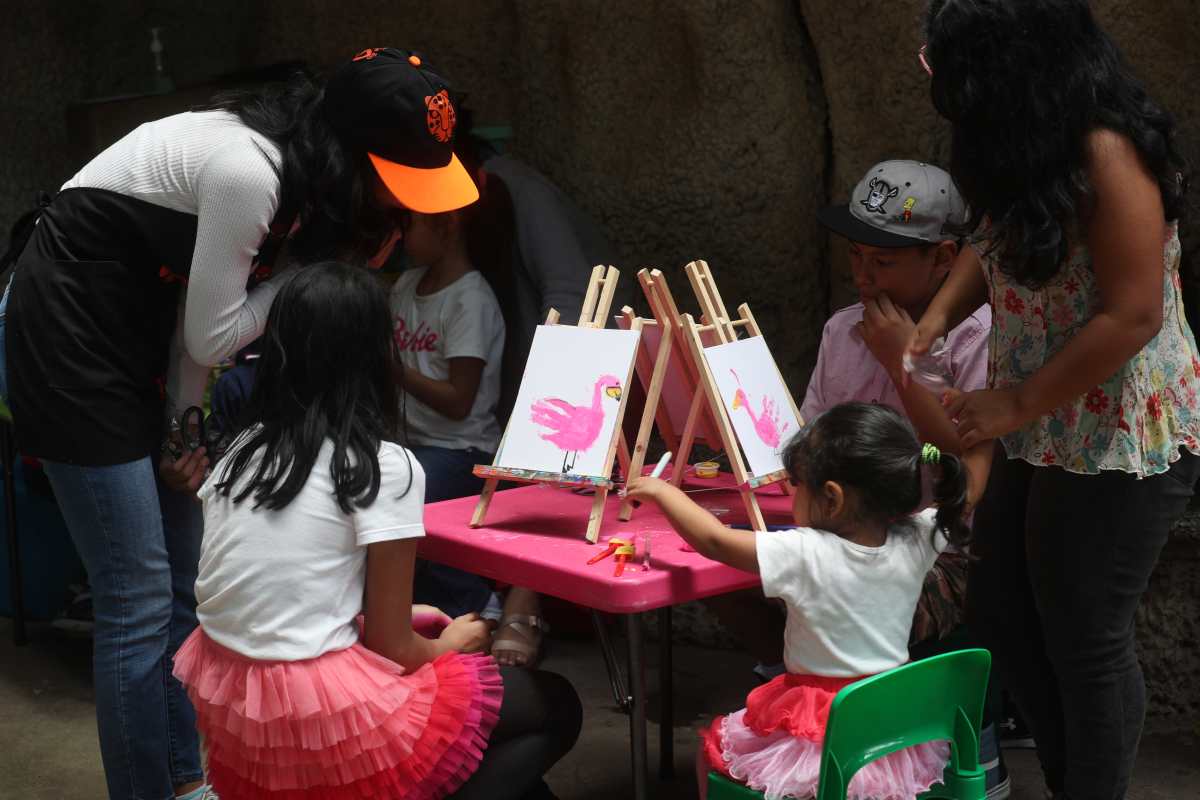 Curso de Vacaciones del Zoológico La Aurora: recorridos, interacción con animales y manualidades