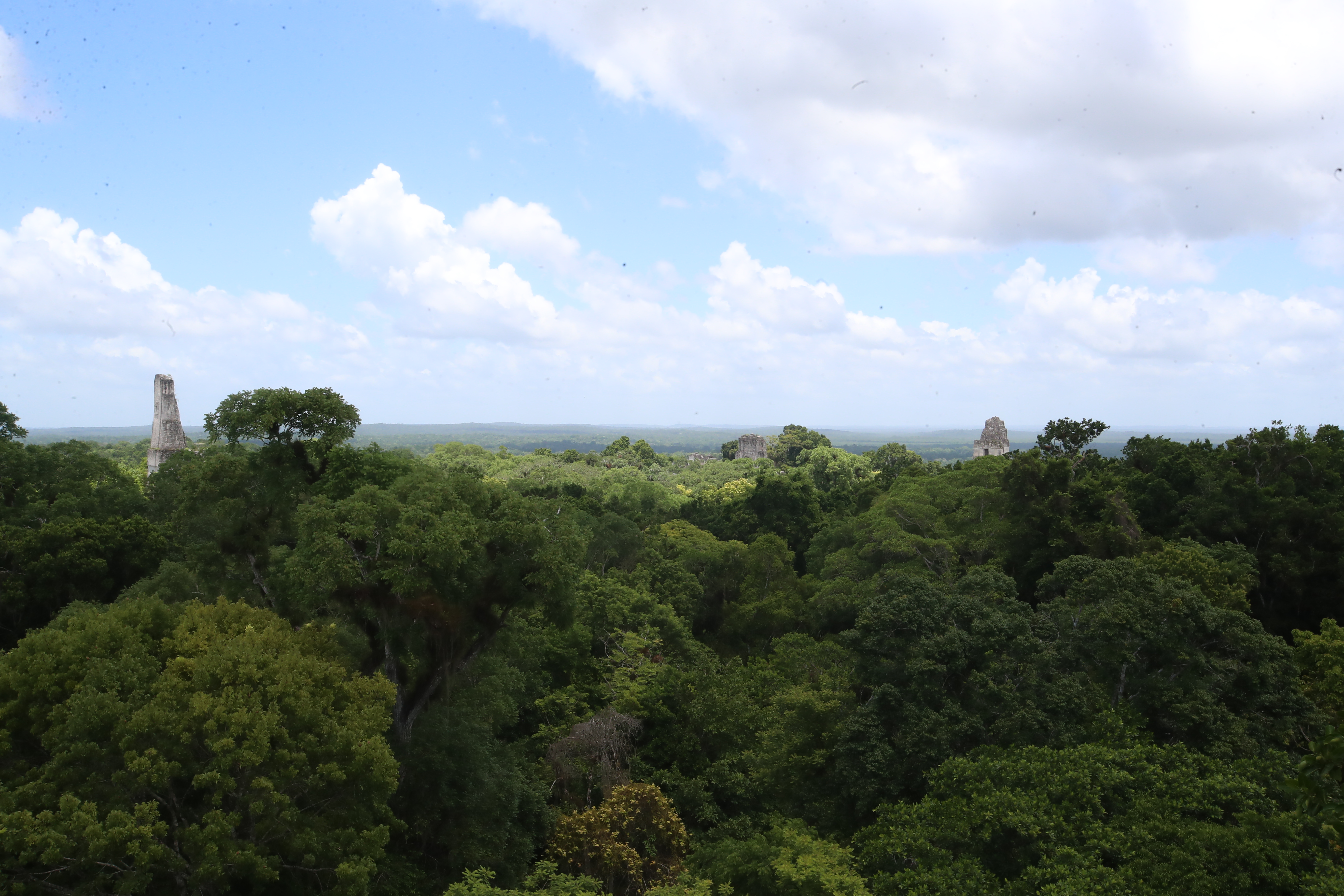 La Organización de Manejo y Conservación (Omyc) representa a Uaxactún, gestionando más de 84,000 hectáreas de bosque. Con el apoyo del Gobierno y de la Wildlife Conservation Society, Omyc promueve la extracción sostenible y la conservación del bosque. (Foto Prensa Libre: Byron Rivera Baiza)