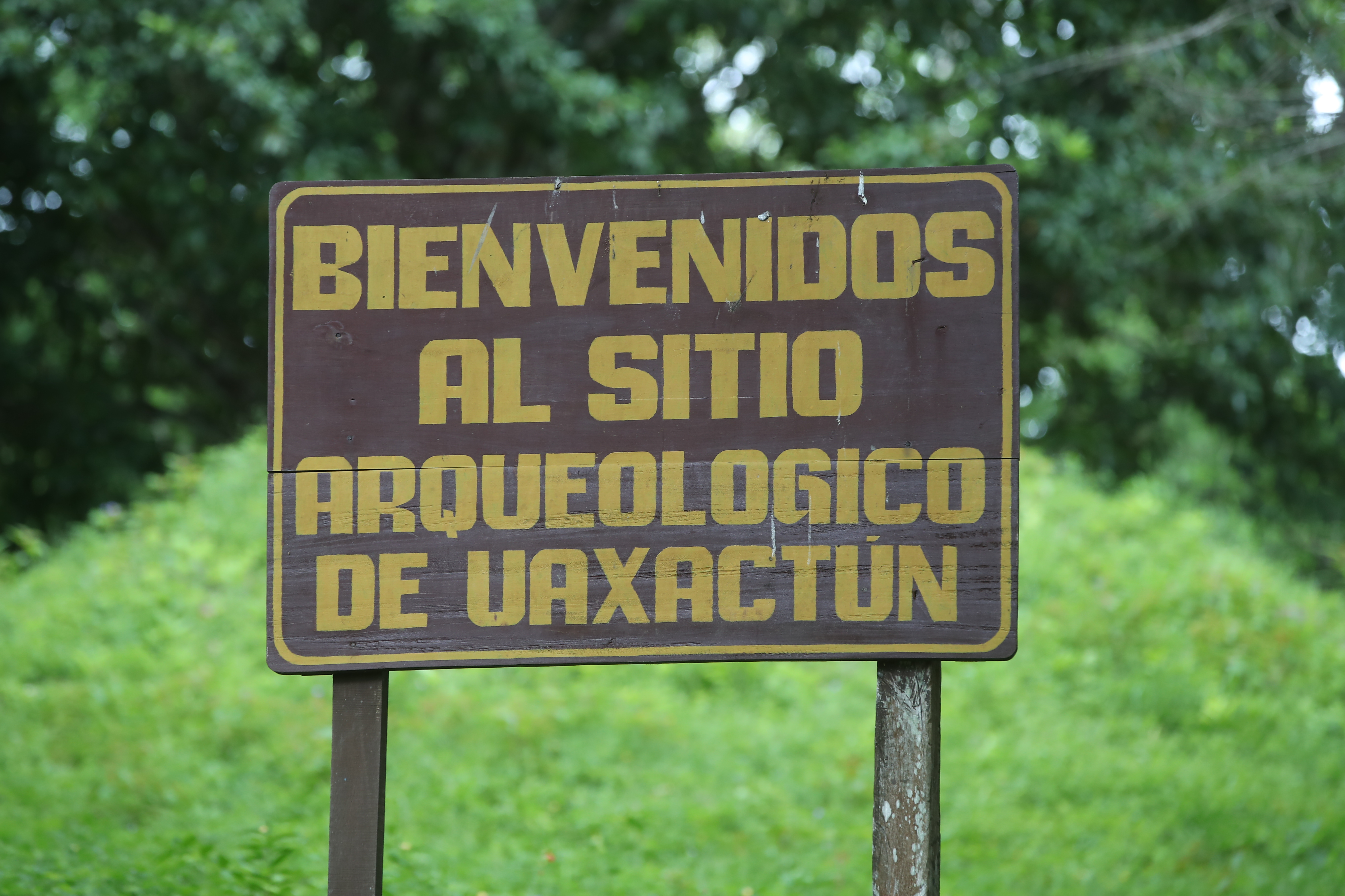 Uaxactún es un sitio arqueológico en la Reserva de la Biosfera Maya, conocido por sus ruinas. Las 140 familias mestizas e indígenas subsisten de productos forestales no maderables como frutos, resina de goma y hojas de palma. Su manejo sostenible ha fomentado una asociación con la Sociedad de Conservación de la Vida Silvestre. (Foto Prensa Libre: Byron Rivera Baiza)