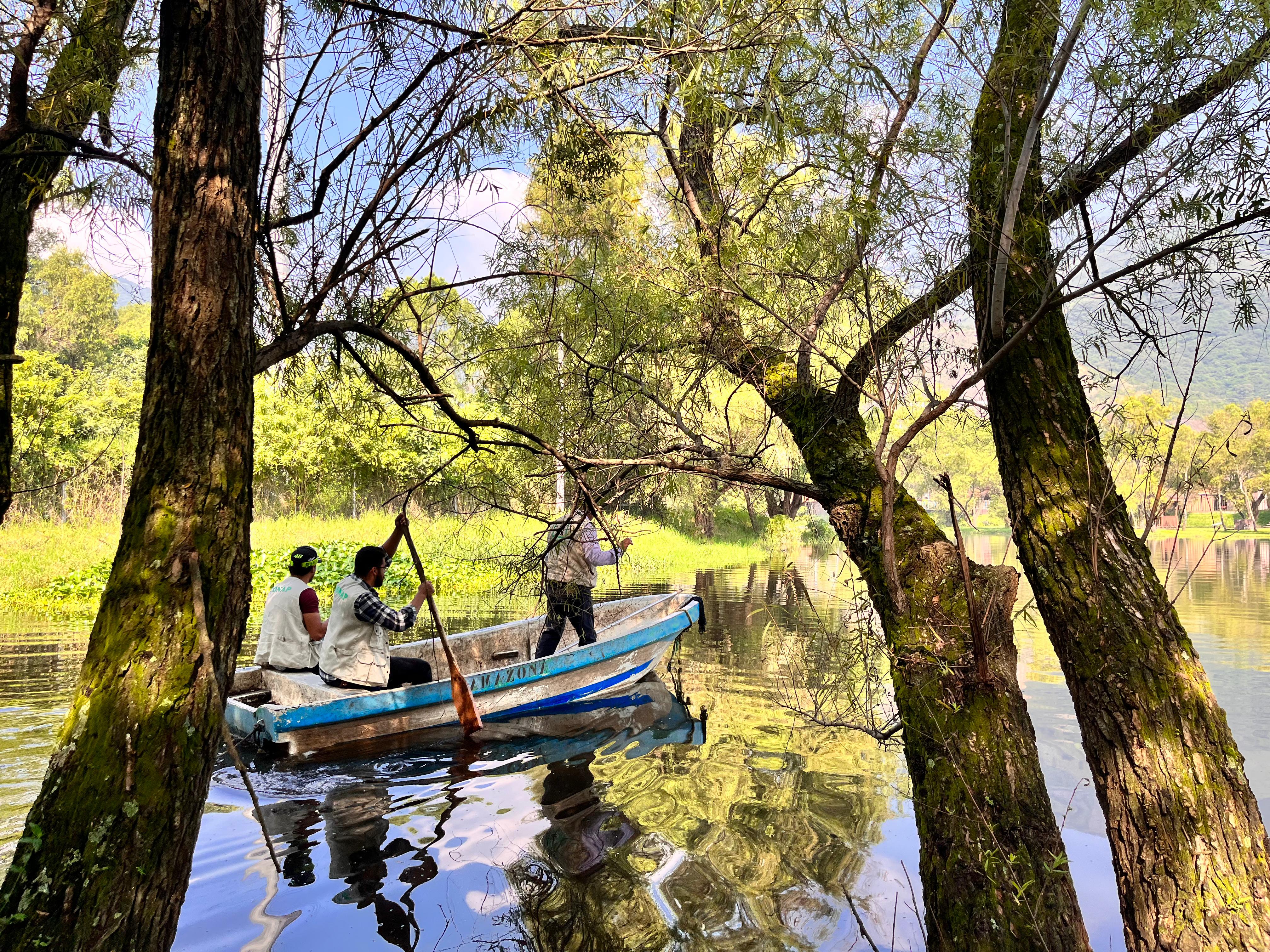 Conap confirma presencia de posible cocodrilo en laguna de condominio en Amatitlán