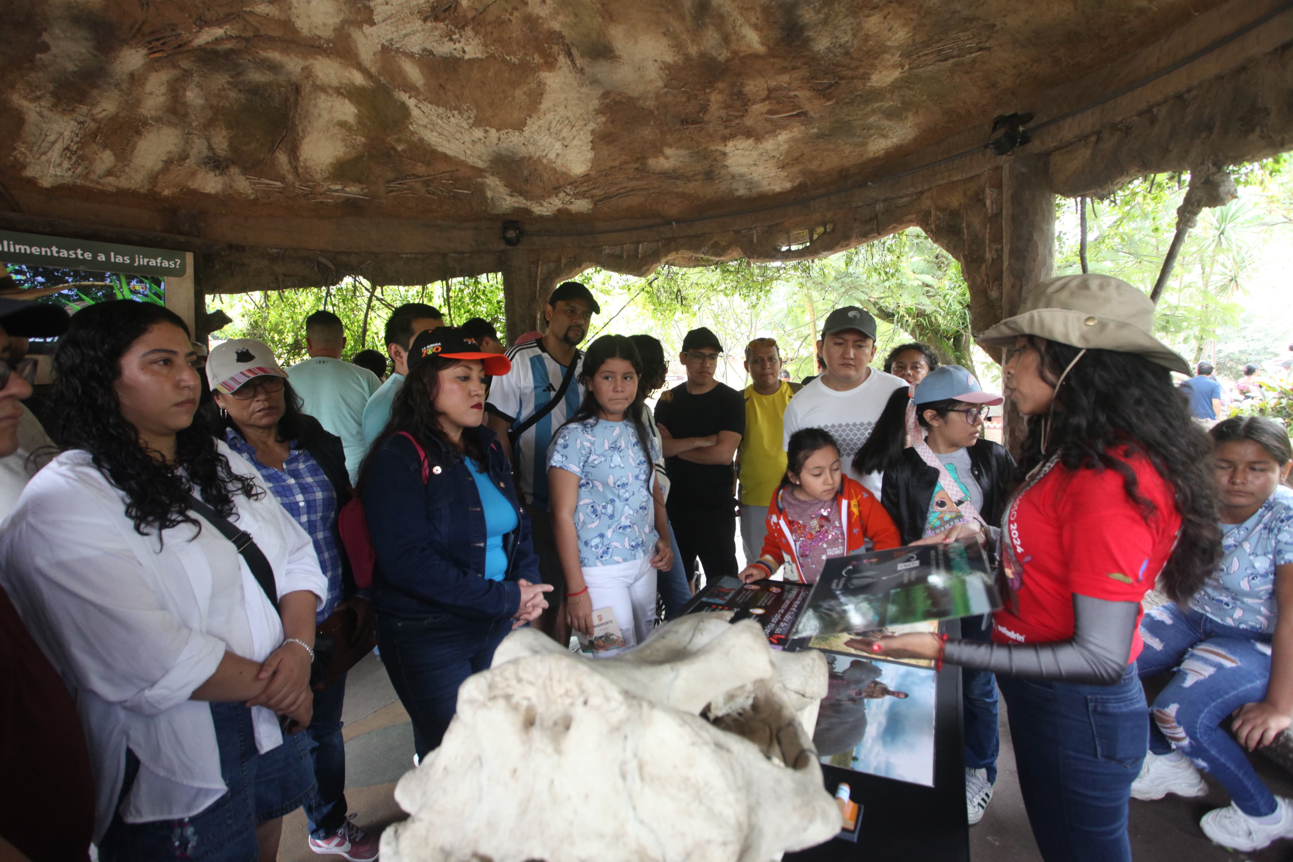 Aniverzoo: El Zoológico La Aurora celebra su cien aniversario con música y exposiciones