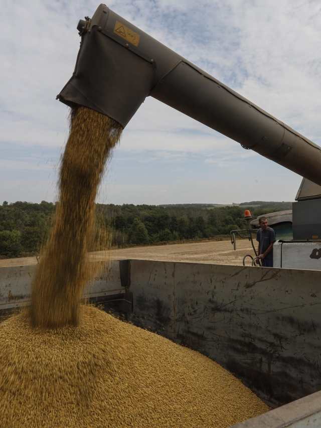 Falta de lluvias golpea al agro y ventas caerían 5%