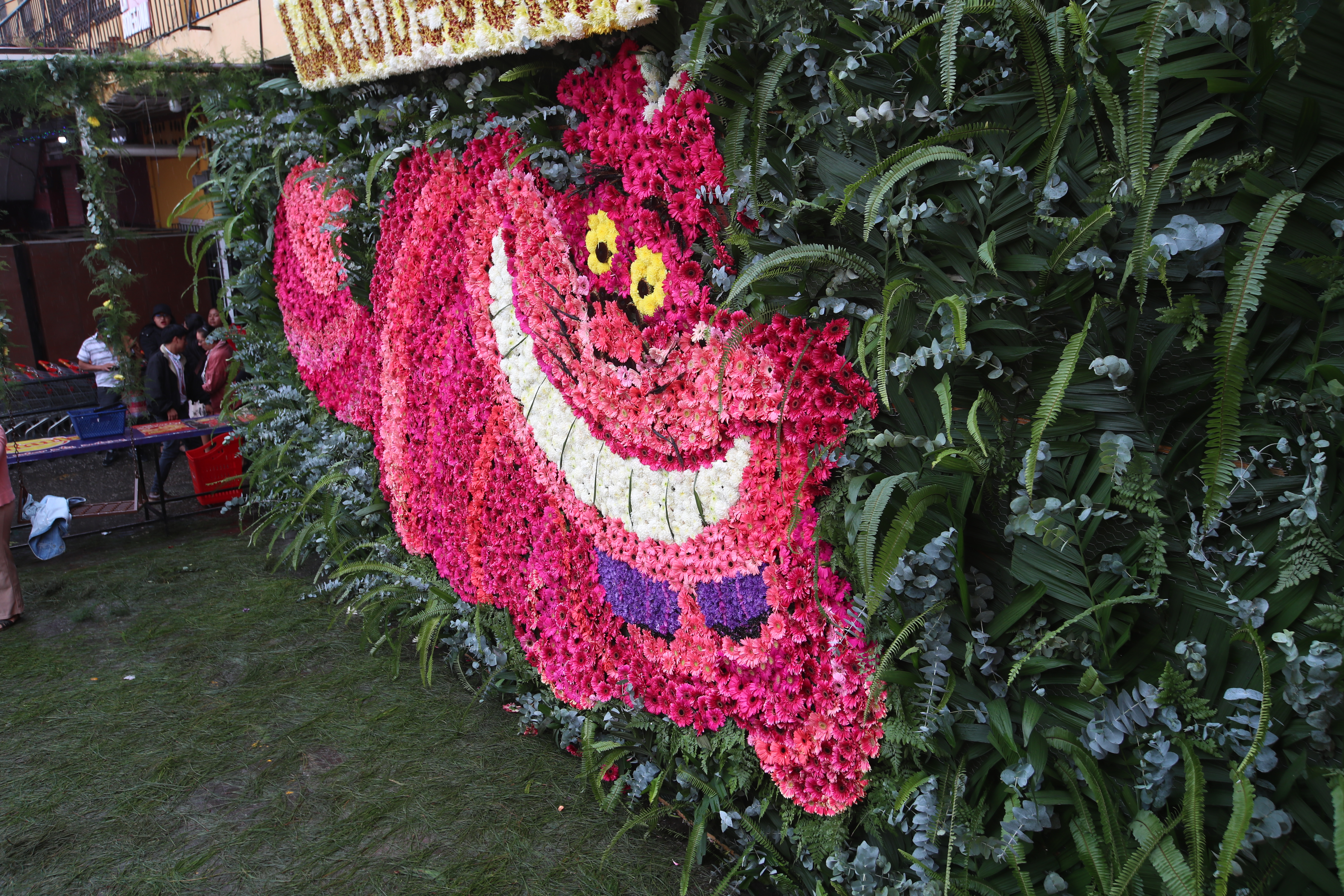 Una impresionante representación floral del Gato de Cheshire, con su característica sonrisa, cautiva a los asistentes en el Festival de las Flores en Antigua Guatemala. (Foto Prensa Libre: Byron Rivera Baiza)