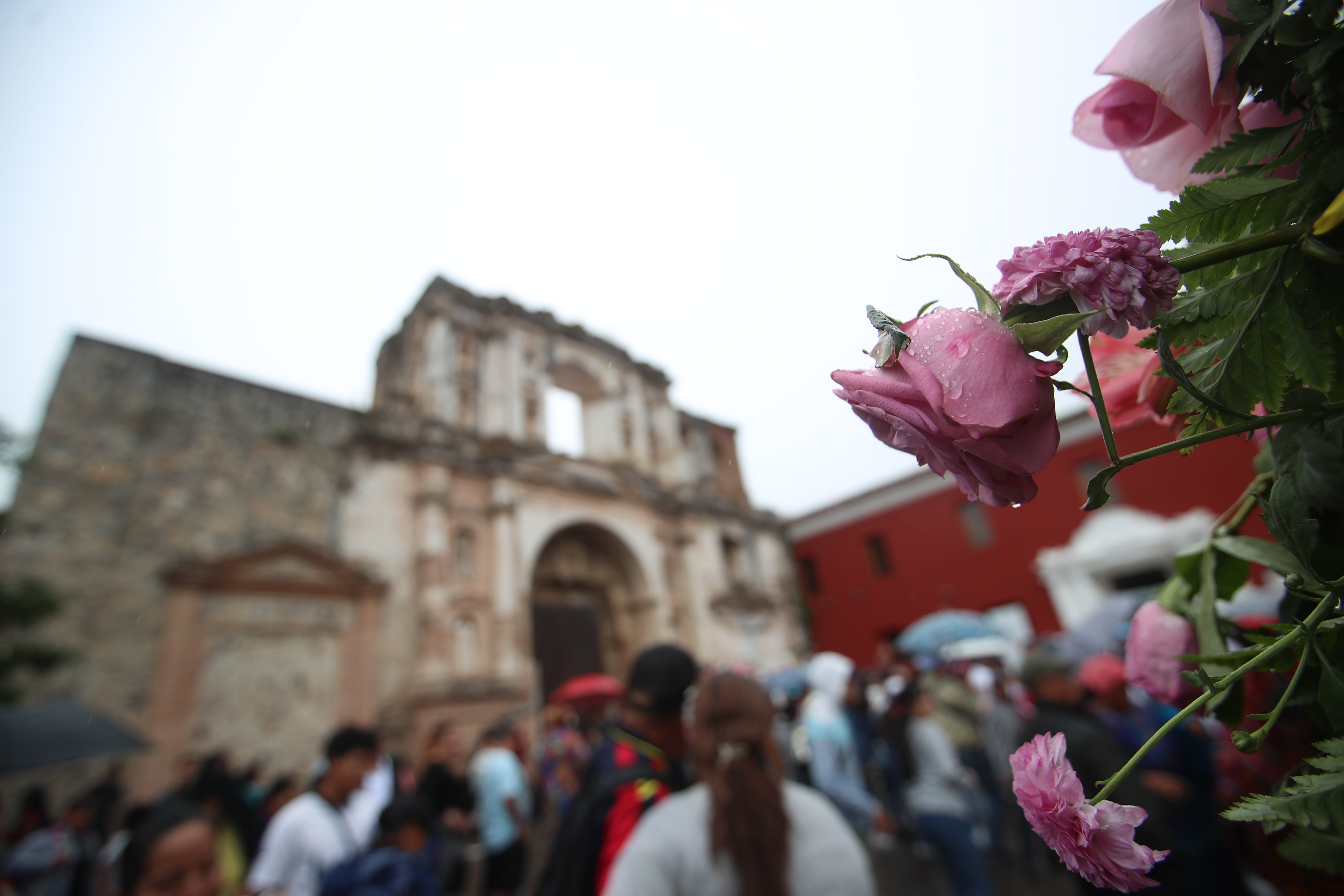 La cooperación española se une al Festival de las Flores, aportando su apoyo en la organización de actividades culturales y la creación de hermosas exposiciones florales. (Foto Prensa Libre: Byron Rivera Baiza)