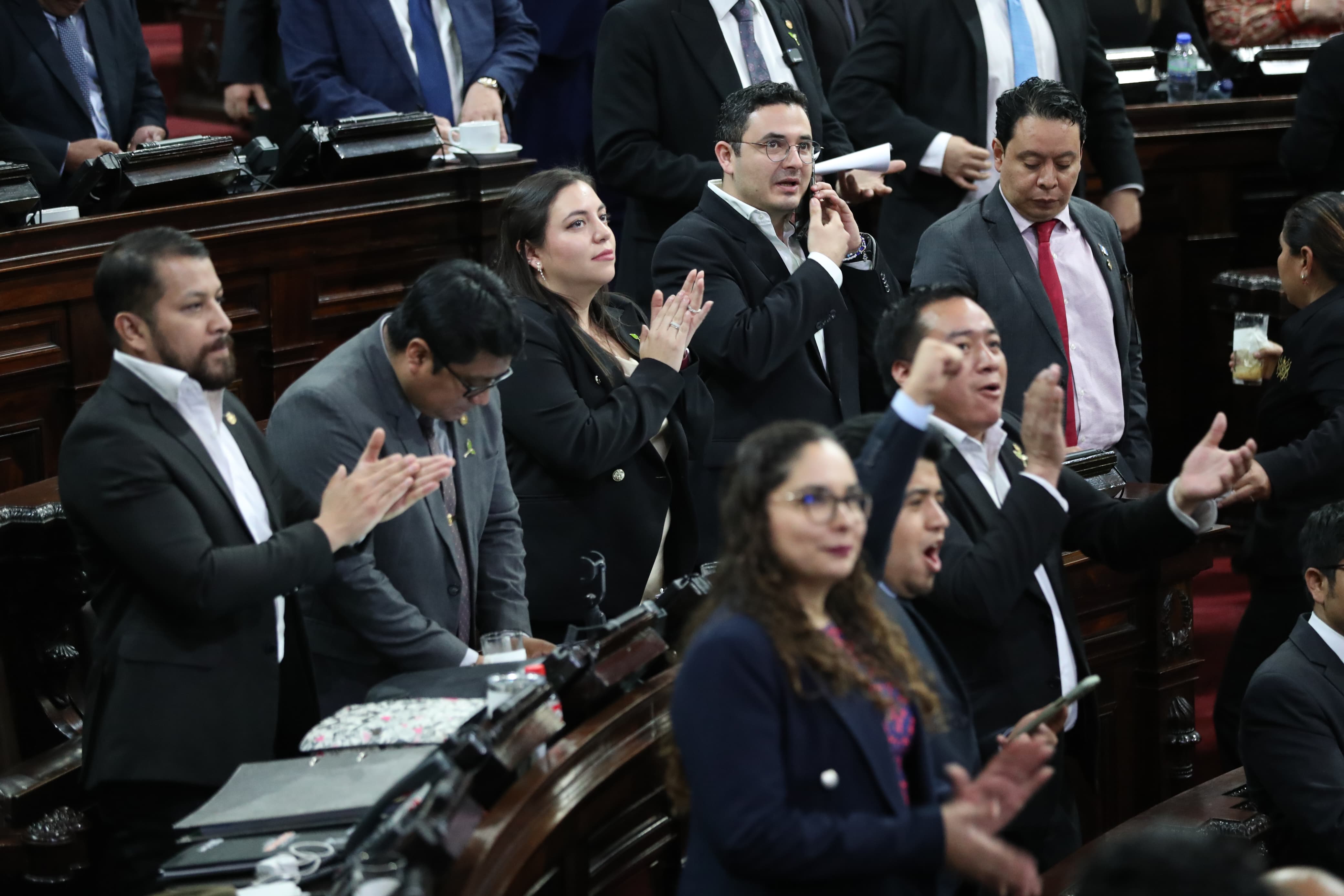 Diputada oficialista señala al mandatario judicial del Congreso de mentirle a la CC en informe de la bancada Semilla