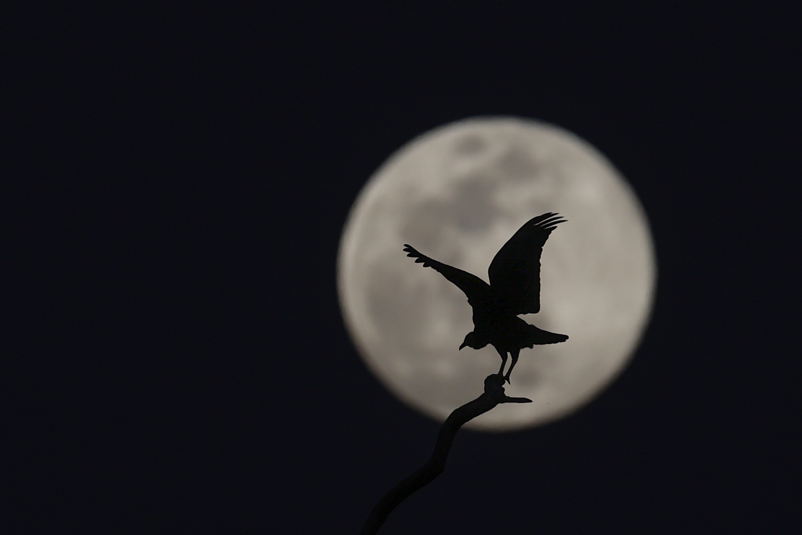 ¿Cuándo será la Luna llena de marzo 2025 y por qué se le conoce como