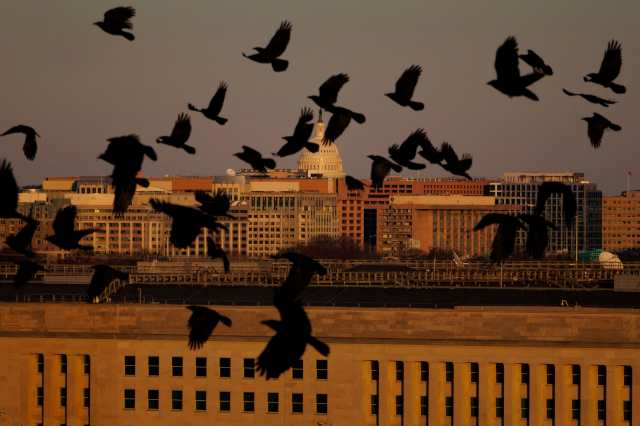 Pentágono confirma envío de tropas estadounidenses para entrenamientos en Panamá