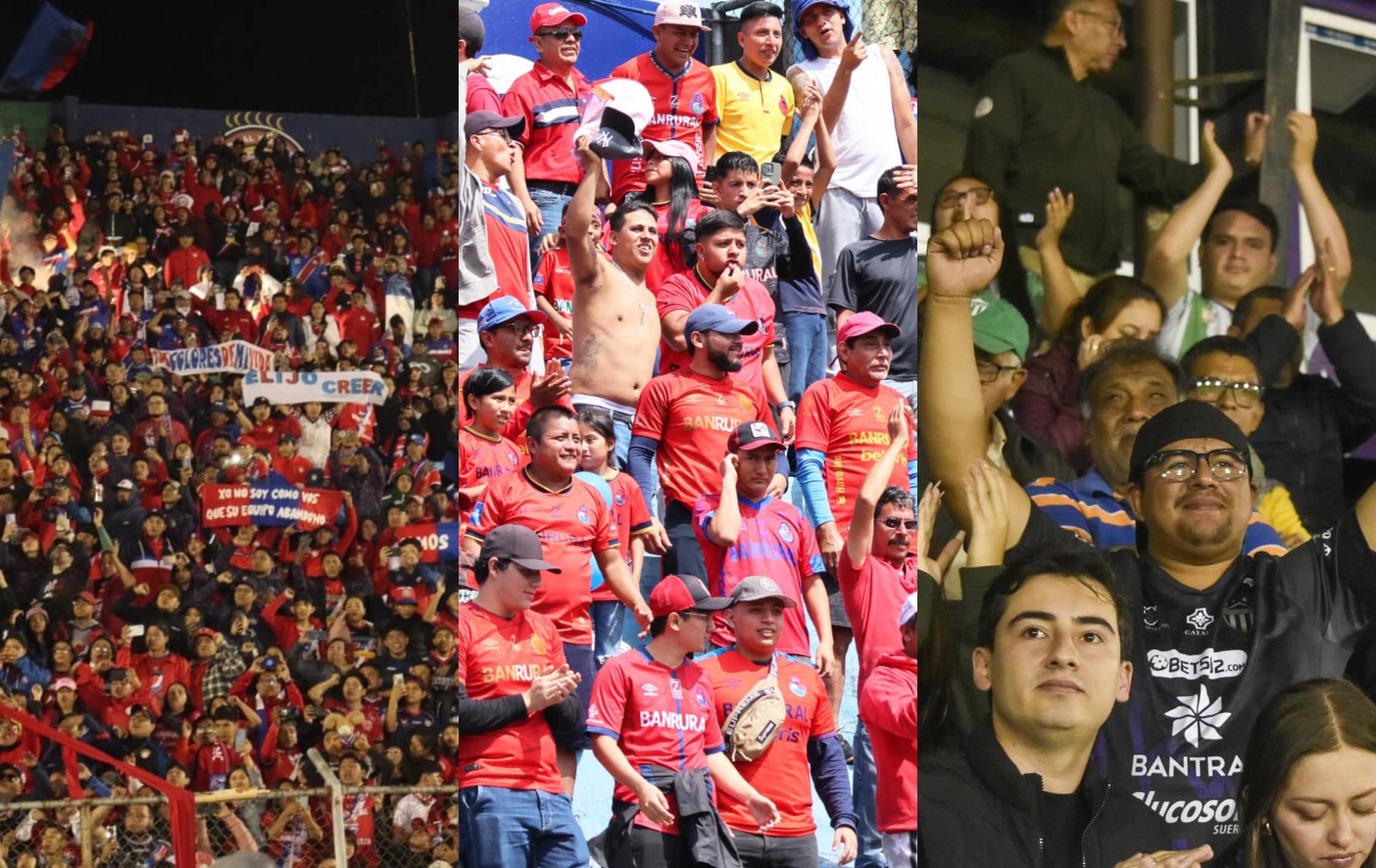 Socios, abonados y pases premium: Cómo funciona y qué pretende lograr la estrategia de los equipos de Liga Nacional con sus aficionados