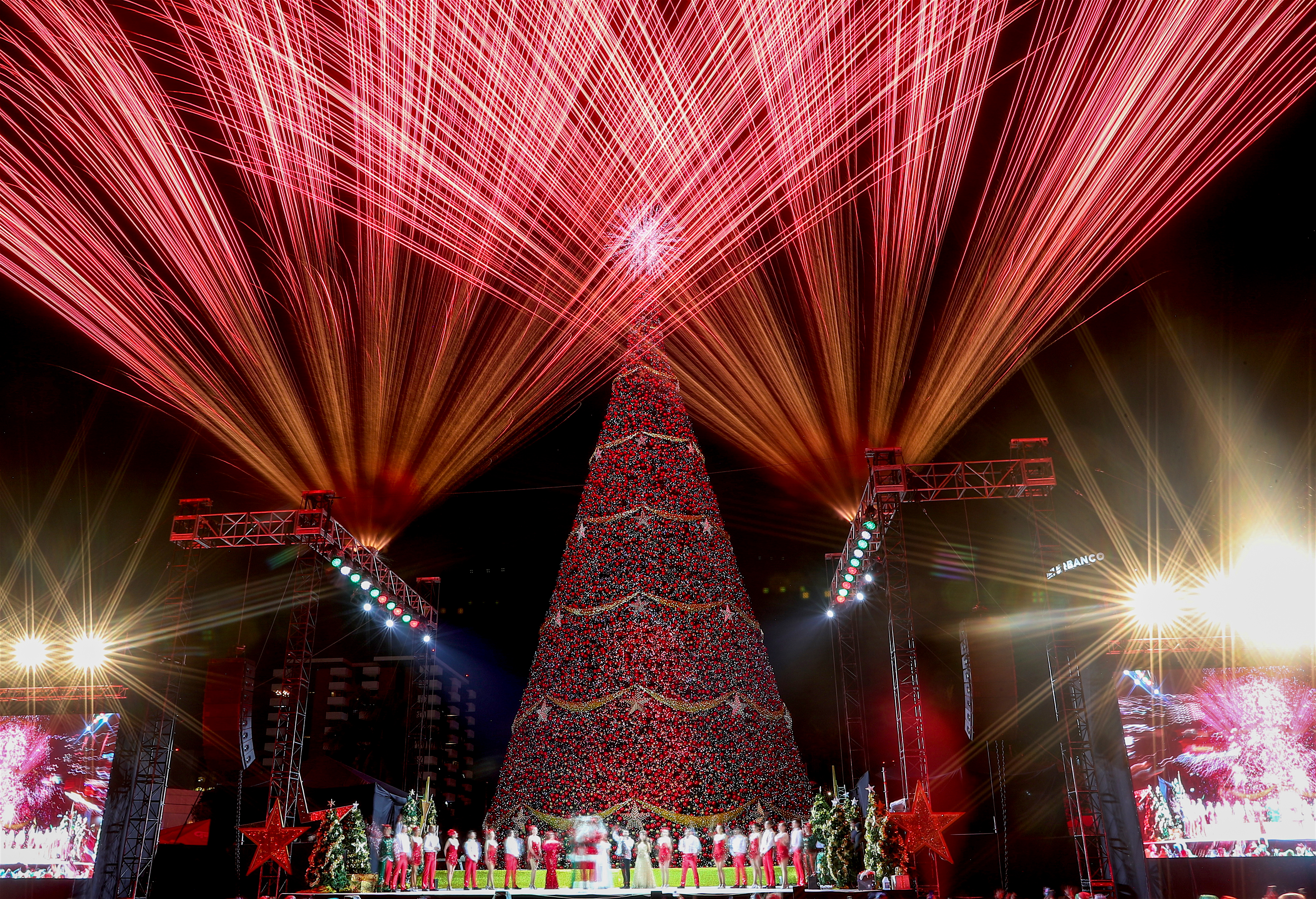 Festival Árbol Gallo 2025: ¿cuándo se inaugura y dónde estarán los árboles navideños en Guatemala?