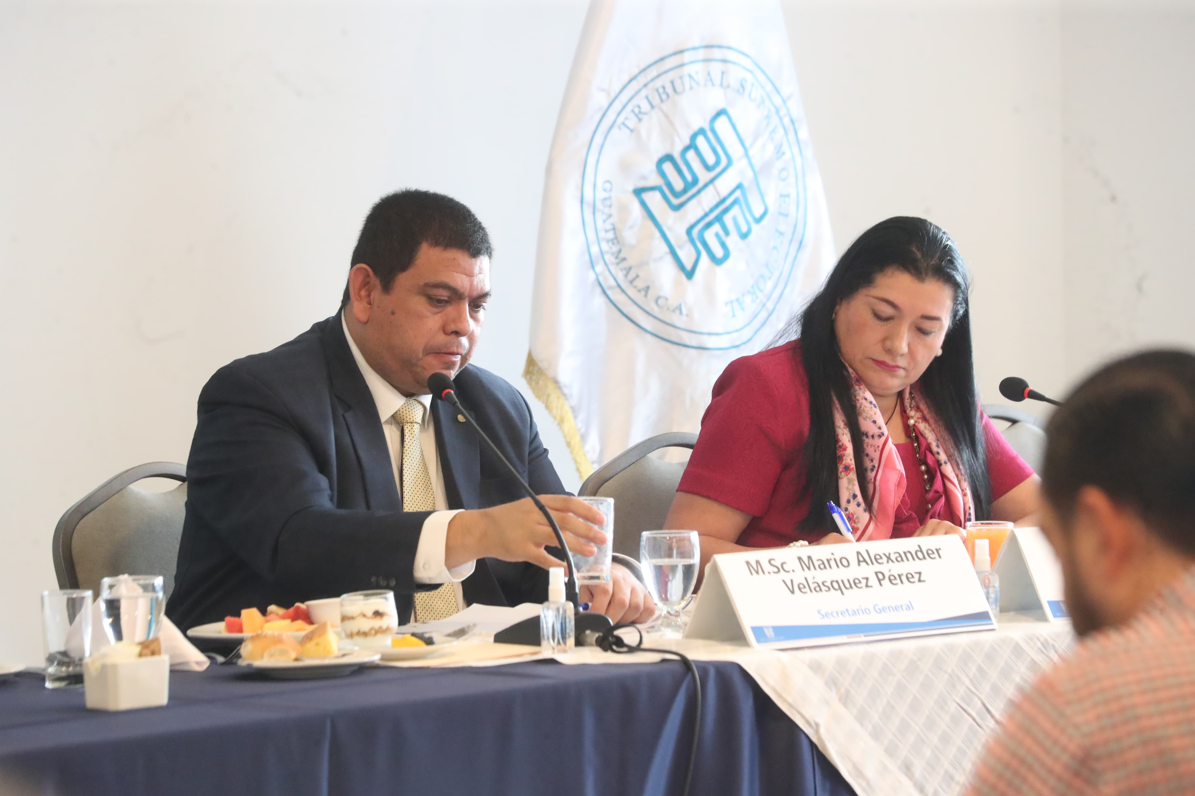 Partidos políticos piden a los magistrados del TSE desistir de denuncias y acciones legales por su pugna interna